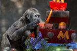 San Diego's Cutest Critters 