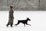Let It Snow, Let It Snow