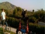 Home Video Horses Wild Run III