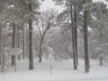 April Snow Day
