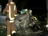 Driver Killed When Car Hits Tree
