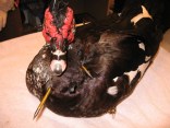 An Attack Most Fowl