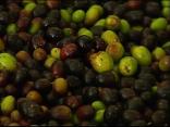 Is Your Olive Oil Really Extra Virgin?