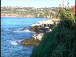 Divers Report Seeing Great White Off La-Jolla Cove