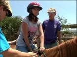 Horse Healing
