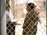 Jail OK'd Despite Community Opposition