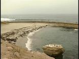 La Jolla Seals Can Rest Easy, For Now