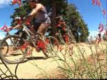 Mountain Biking With a Twist