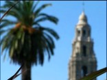 SD Explained: Future of Balboa Park