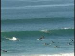 Surf's Up!