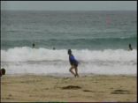 Swimmers Dive in After Shark Sighting