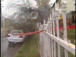 Tree Crushes Car