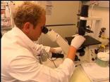 UCSD Cheers Obama Stem Cell Order