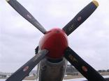 WWII Aircrafts Take to San Diego Skies