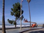 Holidays: San Diego Style 