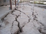 Shaken Families Return With Scary Quake Story, Pics