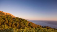 Big Sur Photo Safari