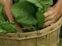 Urban Farm Hauls in the Harvest