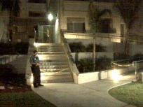 Witnesses Heard Bloodcurdling Screams 