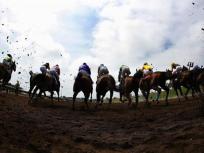 Del Mar Asked to Postpone Racetrack Bid Deal