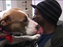 Pets Bring Smile to Military Members