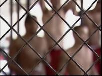 Shocking Number of Immigrants in Local Jails