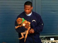 Speedy Sproles Shows Puppy Love 