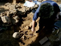 Discovery Shakes Up Evolution Theory