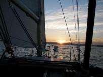 Baja Ha-Ha Sets Sail