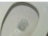 Eighty Toilets & a Hybrid