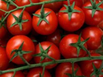 Attack of the Killer Tomato Prices