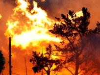 Raw Video: Explosion and Fire Burns Homes