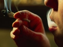 Want to Legalize Pot? Sign Here, Please