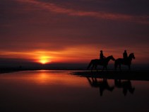 Golden Getaways