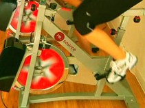 Harnessing the Power of Gym Rats