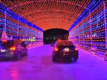 Holiday Events in San Diego