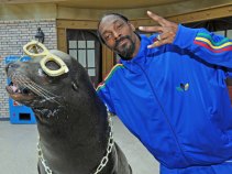 Snoop Dogg Could Come to Town
