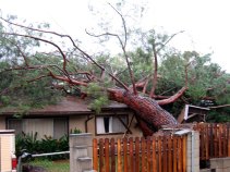 Storms Aren't Over Just Yet