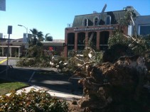 High Winds Cause Damage Across County