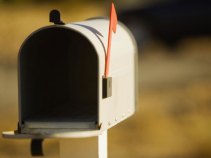 Tax Collector Slow to Refund: Report