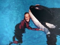 SeaWorld Trainer's Family Tries to Keep Death Video Secret