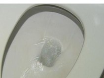 Eighty Toilets & a Hybrid