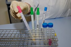 Local Swine Flu Death Toll Rises