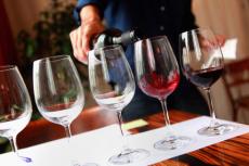 Wine Enthusiasts, Indulge! 
