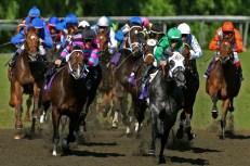 Betting On New Gambling Site