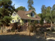 Green Homes Red Hot on Market