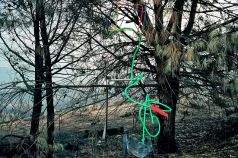 Mental Mapping: Photographs in Context