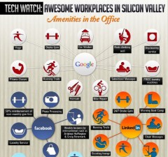 The Perks of Working in Silicon Valley
