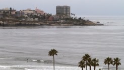 La Jolla Seeks Relief From Bird Stench