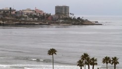 Mayor Vows to Wipe Out La Jolla Bird Stench